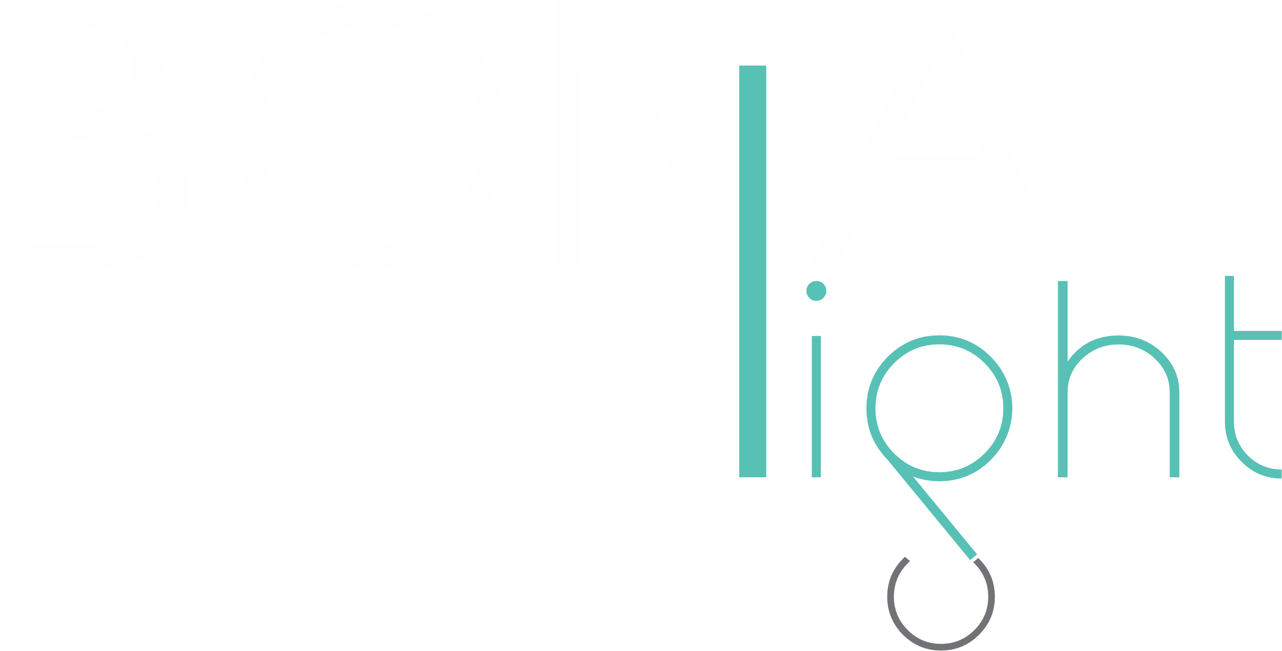 BONA LIGHT LOGO W